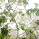 © Carlos Perez Naval - Wildlife Photographer of the Year